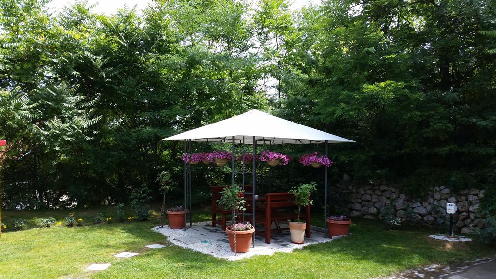 Vila Dincic Doo Veliko Gradište Kültér fotó